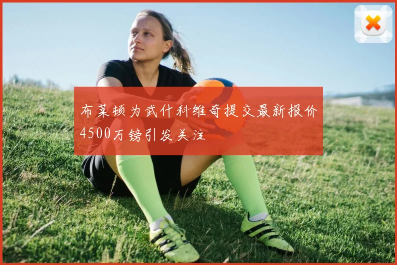 布莱顿为武什科维奇提交最新报价4500万镑引发关注